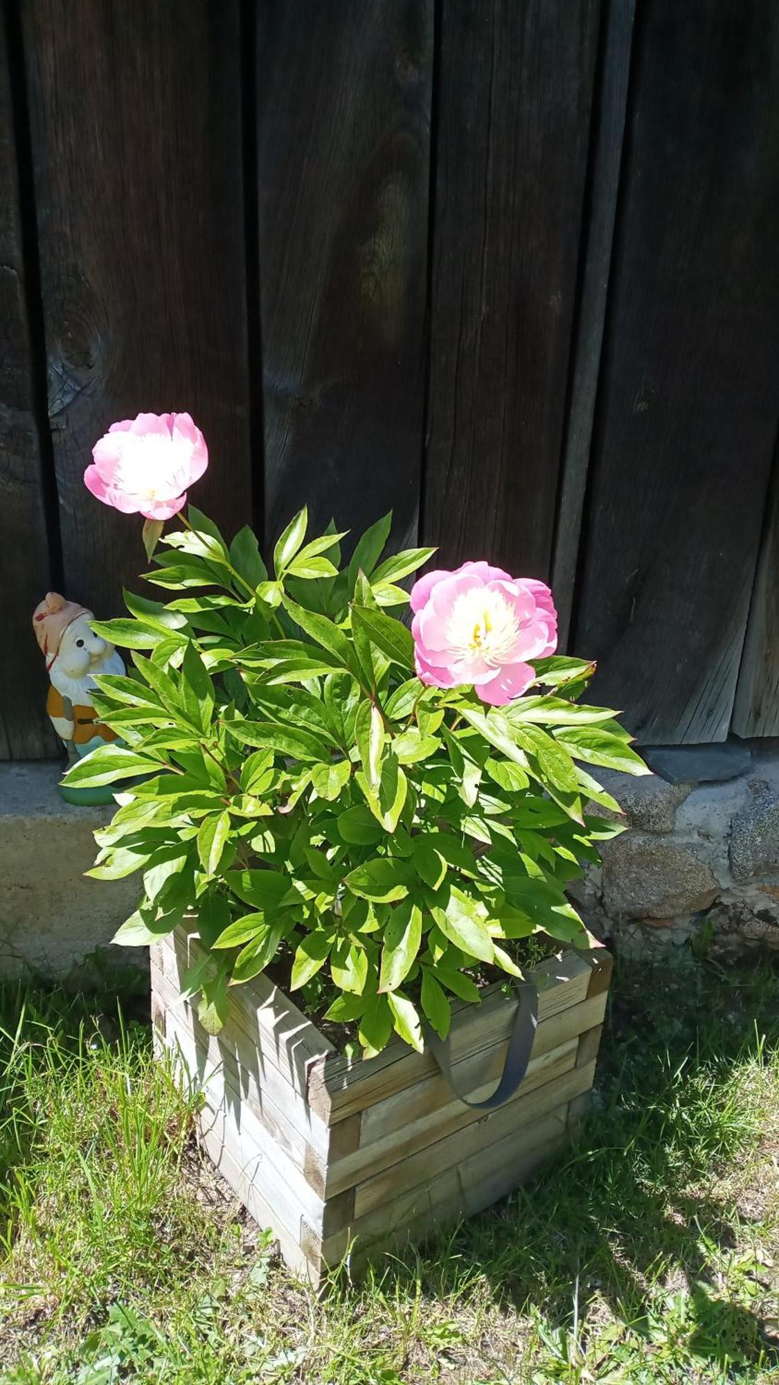 Bed & Breakfast Le Relais De